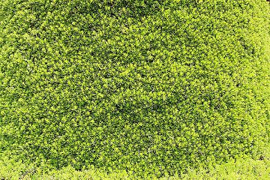 《忍者神龟 施莱德的复仇》NS港服预购开启 原价198港币